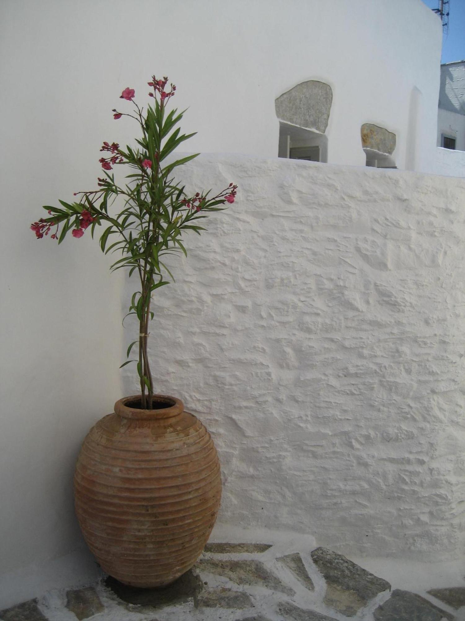 Chora Elegant Traditional House 아모르고스 외부 사진